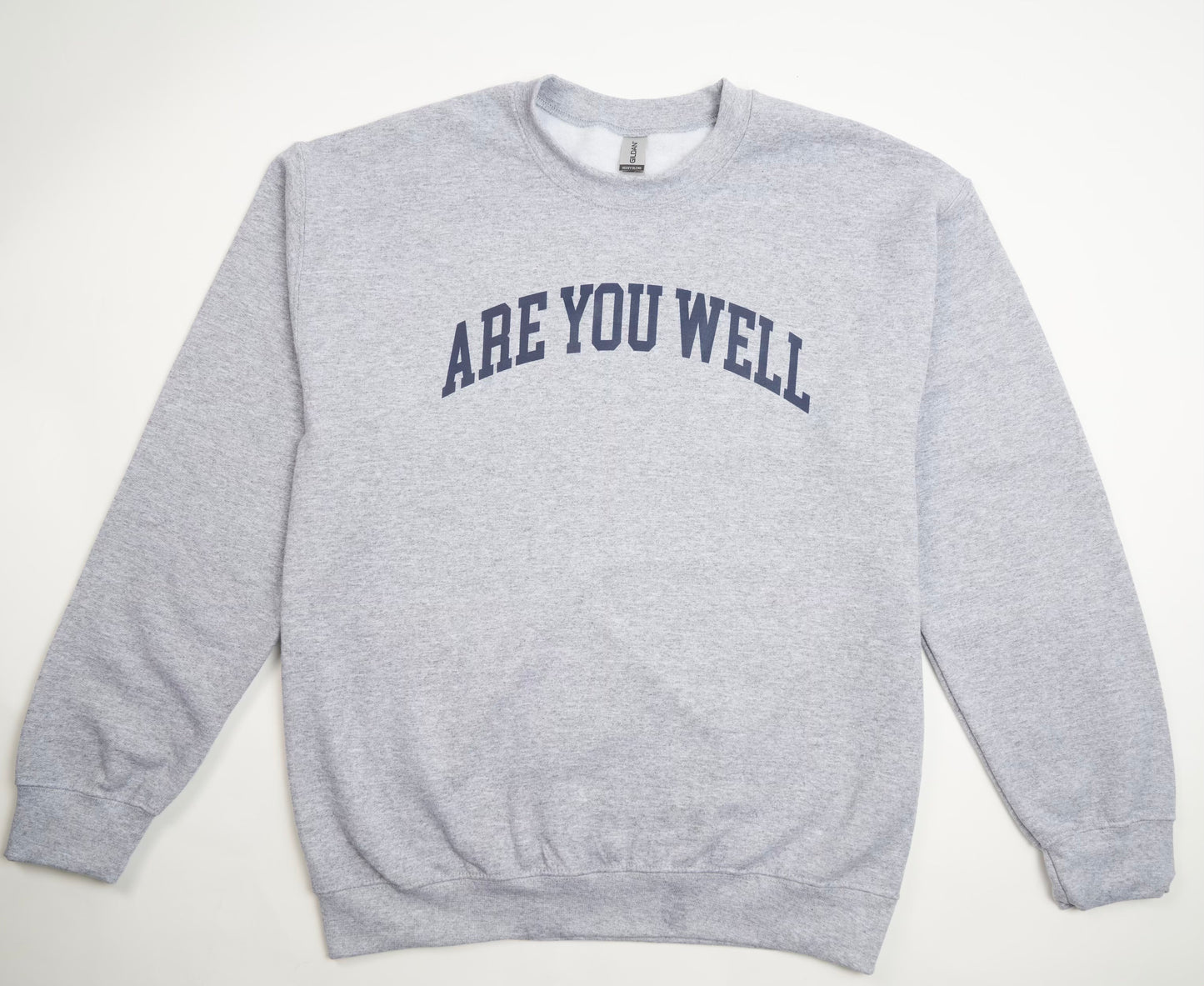 ARE YOU WELL SWEATSHIRT - GREY
